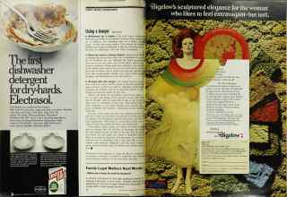 Better Homes & Gardens April 1971 Magazine Article: Page 14