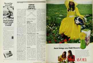 Better Homes & Gardens April 1971 Magazine Article: Page 42