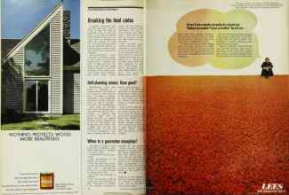 Better Homes & Gardens April 1971 Magazine Article: Page 54
