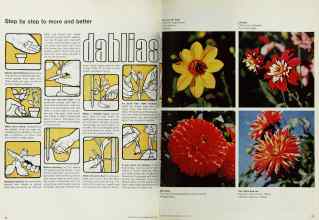 Better Homes & Gardens April 1971 Magazine Article: Page 74