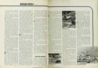 Better Homes & Gardens April 1971 Magazine Article: Page 140