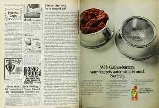 Better Homes & Gardens April 1971 Magazine Article: Page 146