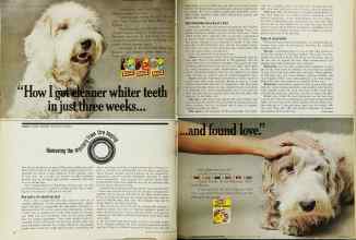 Better Homes & Gardens May 1971 Magazine Article: Removing the mystery from tire buying