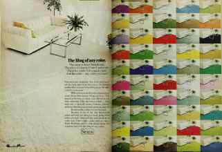 Better Homes & Gardens June 1971 Magazine Article: Page 22