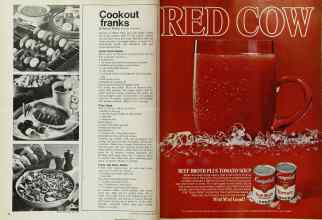 Better Homes & Gardens June 1971 Magazine Article: Page 62