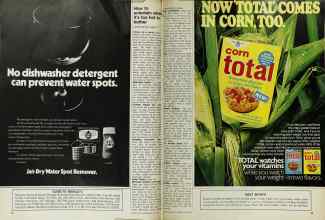 Better Homes & Gardens June 1971 Magazine Article: Page 64