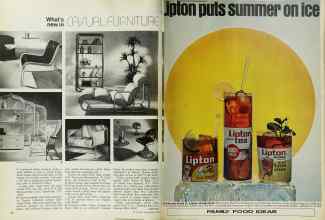 Better Homes & Gardens June 1971 Magazine Article: Page 72