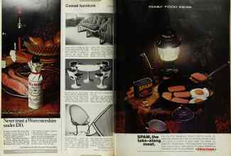 Better Homes & Gardens June 1971 Magazine Article: Page 74