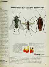Better Homes & Gardens July 1971 Magazine Article: Is your car a fire hazard?