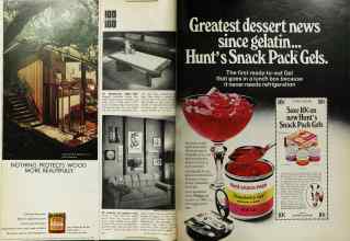 Better Homes & Gardens July 1971 Magazine Article: Page 28