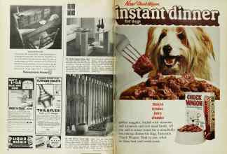 Better Homes & Gardens July 1971 Magazine Article: Page 32