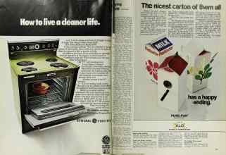 Better Homes & Gardens July 1971 Magazine Article: Page 74