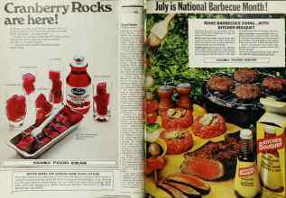 Better Homes & Gardens July 1971 Magazine Article: Page 88