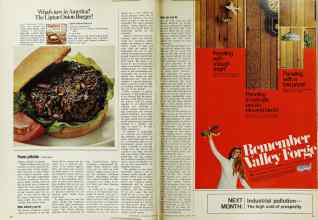 Better Homes & Gardens August 1971 Magazine Article: Page 90