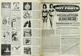 Better Homes & Gardens August 1971 Magazine Article: Page 106