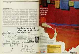 Better Homes & Gardens September 1971 Magazine Article: Page 38
