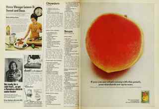 Better Homes & Gardens September 1971 Magazine Article: Page 94