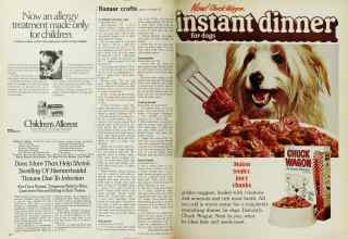 Better Homes & Gardens September 1971 Magazine Article: Page 102