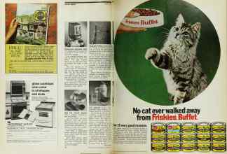 Better Homes & Gardens October 1971 Magazine Article: Page 40