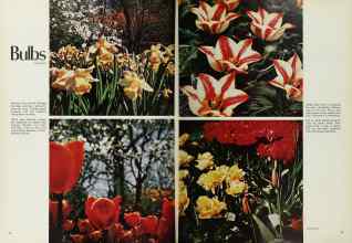 Better Homes & Gardens October 1971 Magazine Article: Page 74