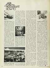 Better Homes & Gardens November 1971 Magazine Article: HOUSEPLANT HOW-TO