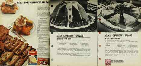 Better Homes & Gardens November 1971 Magazine Article: Page 102