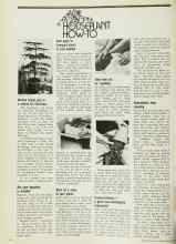 Better Homes & Gardens December 1971 Magazine Article: Norfolk Island pine is a natural for Christmas