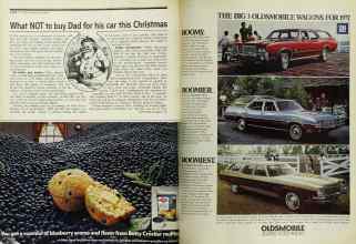 Better Homes & Gardens December 1971 Magazine Article: Page 20