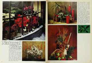 Better Homes & Gardens December 1971 Magazine Article: Natural Gifts