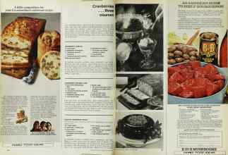 Better Homes & Gardens December 1971 Magazine Article: Page 106