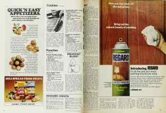 Better Homes & Gardens December 1971 Magazine Article: Page 118
