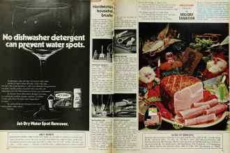 Better Homes & Gardens December 1971 Magazine Article: Hardworking household brushes