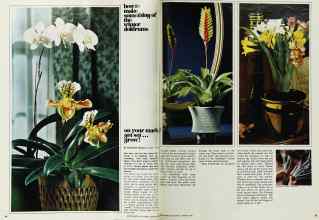 Better Homes & Gardens January 1972 Magazine Article: Page 54