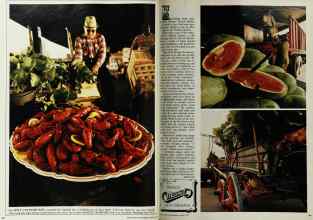 Better Homes & Gardens March 1972 Magazine Article: Page 88