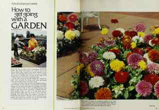 Better Homes & Gardens March 1972 Magazine Article: How to get going with a GARDEN