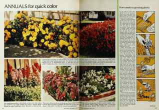 Better Homes & Gardens March 1972 Magazine Article: Page 96