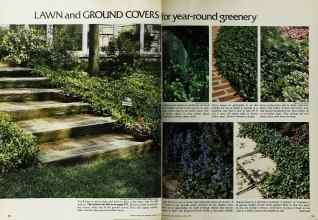 Better Homes & Gardens March 1972 Magazine Article: Page 98