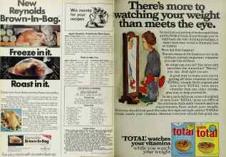 Better Homes & Gardens March 1972 Magazine Article: Page 104