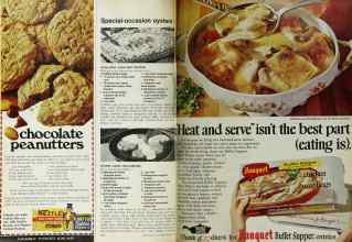 Better Homes & Gardens March 1972 Magazine Article: Page 132