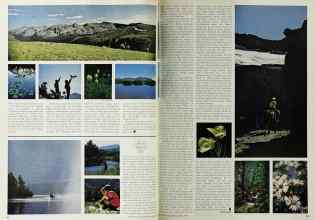 Better Homes & Gardens March 1972 Magazine Article: Page 164