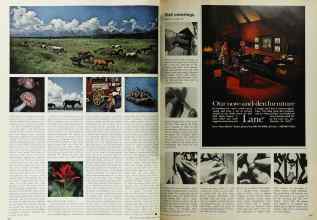 Better Homes & Gardens March 1972 Magazine Article: Page 168