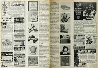Better Homes & Gardens March 1972 Magazine Article: Page 192