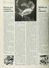 Better Homes & Gardens April 1972 Magazine Article: Buying and caring for tropical fish
