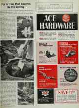 Better Homes & Gardens April 1972 Magazine Article: For a tree that blooms in the spring