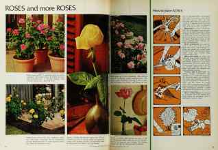 Better Homes & Gardens April 1972 Magazine Article: Page 54