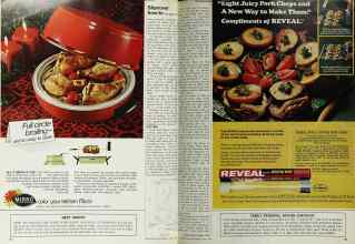 Better Homes & Gardens April 1972 Magazine Article: Page 102