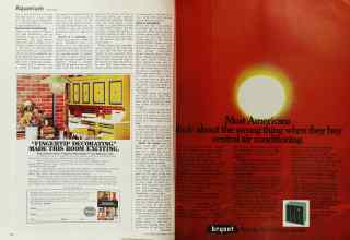 Better Homes & Gardens April 1972 Magazine Article: Page 154