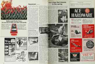 Better Homes & Gardens April 1972 Magazine Article: Page 156