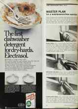 Better Homes & Gardens May 1972 Magazine Article: MASTER PLAN for a maintenance-free summer