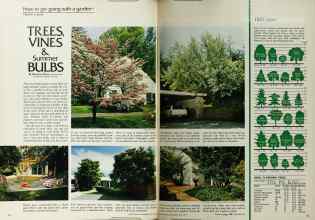 Better Homes & Gardens May 1972 Magazine Article: TREES, VINES & Summer BULBS